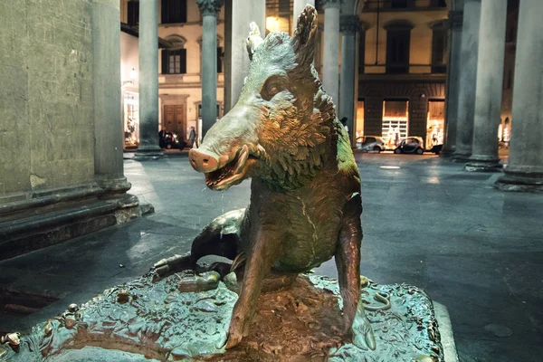 yaban domuzu heykeli Floransa yeni Pazar Meydanı gece, İtalya