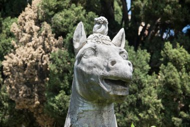 Antik Diocletian (Thermae Diocletiani) Roma hamamları at heykeli. İtalya