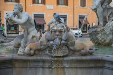 İtalya Piazza Navona 'da Fontana del Moro
