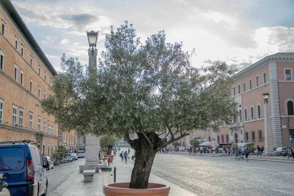 Della Conciliazione Rom Italien — Stockfoto