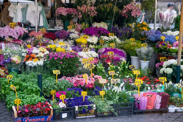 Campo Fiori Menande Sätta Blommor Viktigaste Och Livlig Torgen Rom — Stockfoto