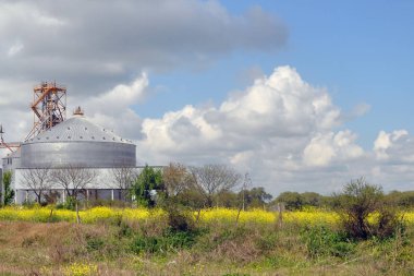 Tarım Siloları - Dış yapı, depolama ve tahıl, buğday, mısır, soya, ayçiçeği, pirinç tarlalı mavi gökyüzüne karşı kurutma
