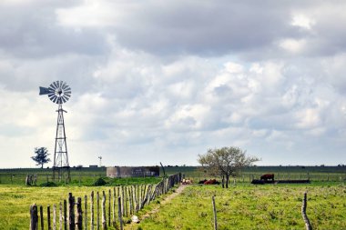 Kırsal çiftlik ve yel değirmeni Entre Rios, Arjantin