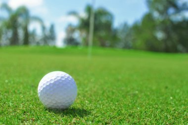 Bir golf sahası Golf topu tutan el