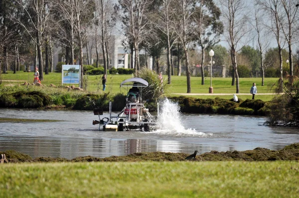 Entre Rios Argentina Oktober Ein Arbeiter Entfernt Kraut Mit Einem — Stockfoto