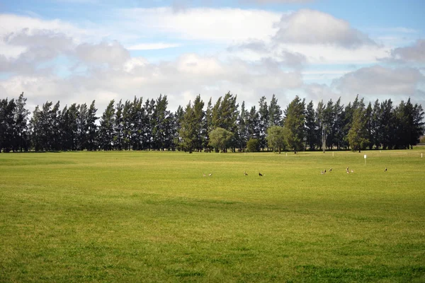 Krásné Zelené Golfové Hřiště — Stock fotografie