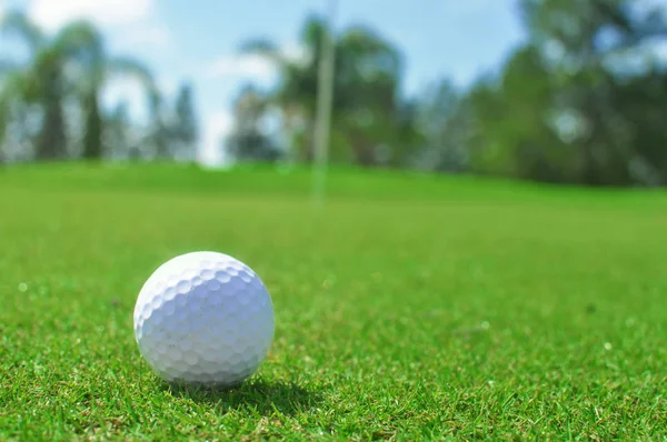 ゴルフ場のゴルフ ボールを保持している女性の手 — ストック写真