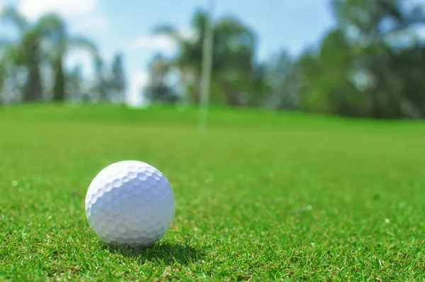 Ženská Ruka Drží Golfový Míček Golfové Hřiště — Stock fotografie