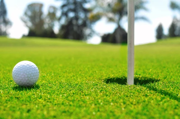 Pallina Golf Sul Verde Vicino Buco — Foto Stock