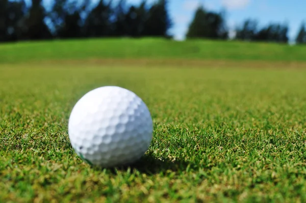 Ženská Ruka Drží Golfový Míček Golfové Hřiště — Stock fotografie