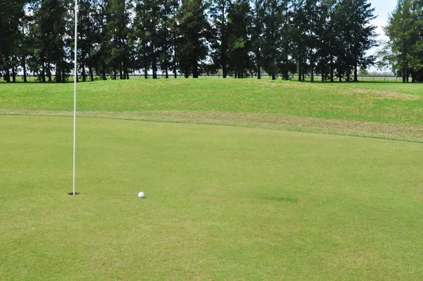 Golfball Auf Dem Grün Der Nähe Des Lochs — Stockfoto