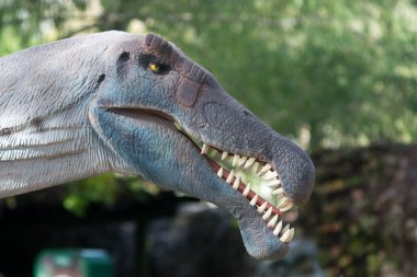 Dikey bir kırmızı Amerika papağanı kameraya bakarak