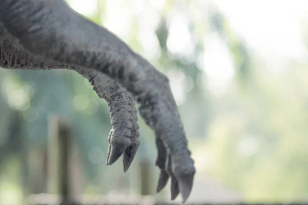ティラノサウルスのプラモデルの腕 — ストック写真