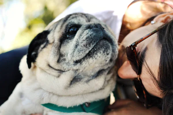 Junge Erwachsene Frau Mit Ihrem Hund Park — Stockfoto