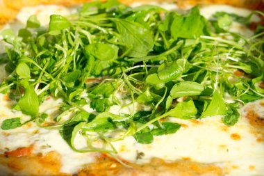 Arugula Pizza Kapat