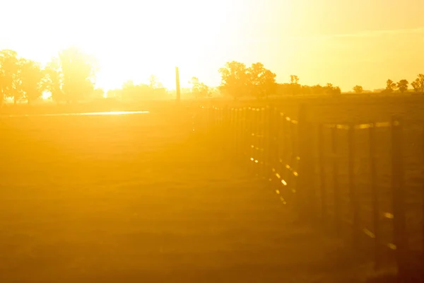 夕暮れ時の農場のワイヤーフェンス — ストック写真