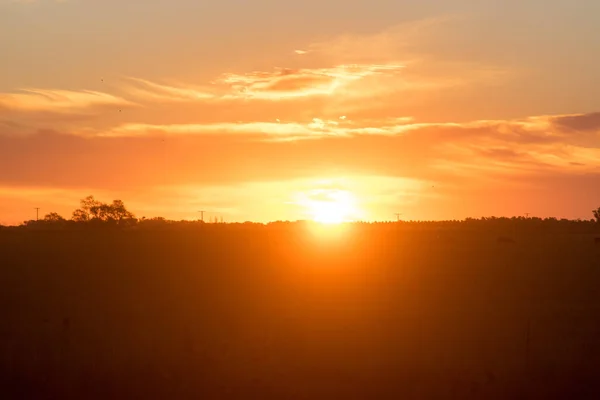 野原の夕暮れの田舎の光景 — ストック写真