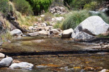 Salta Eyaletinde dağ nehri, Arjantin