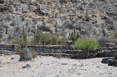 Kuzey Arjantin'deki Ruinas de Quilmes veya Quilmes Harabeleri, Tucuman Eyaleti, Calchaqui Vadisi'nde