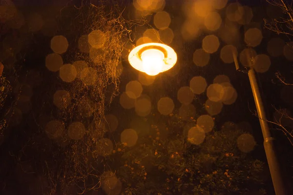 Street Light Light Drizzle Night — Stock Photo, Image