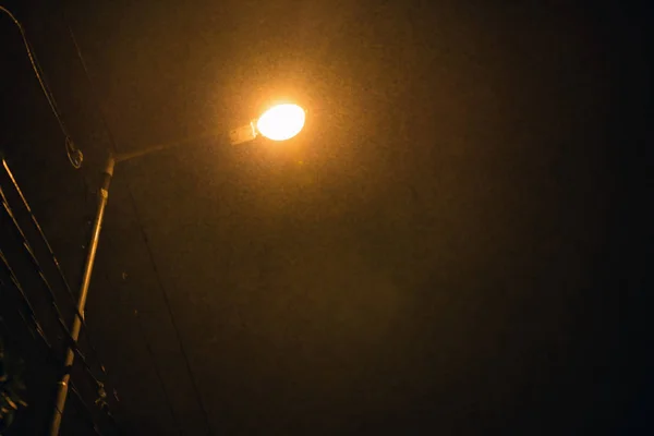 Street Light Light Drizzle Night — Stock Photo, Image