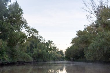 Delta Nehri Tigre City Buenos Aires, Arjantin Sabah