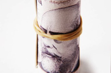 Kağıt Para Birimi, Arjantin, 100 Arjantin Pezosu