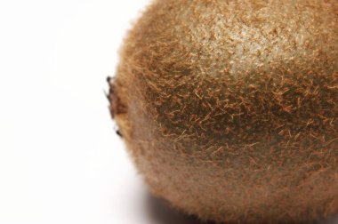 Kiwi, Ekstrem Beyaz arka plana karşı Yakın plan