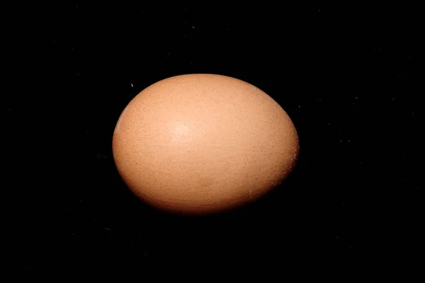 Egg Close Contro Backgroun Nero — Foto Stock