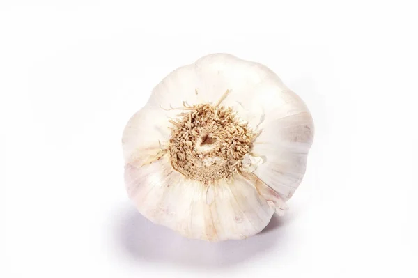 Knoblauch Aus Nächster Nähe Vor Weißem Hintergrund — Stockfoto