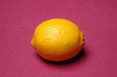 Bekar Taze Limon, Yakın plan