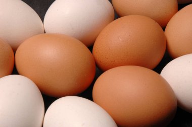 taze yumurta beyaz ve kahverengi