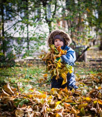 Sonbahar yaprakları ile oynayan küçük bir çocuk