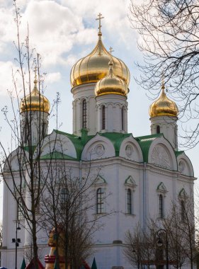 Saint-Petersburg beyaz bir katedral