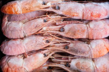 Kraliyet karides closeup kompozisyon