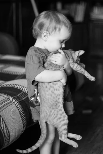 Malý Chlapec Drží Orientální Kittenat Domů — Stock fotografie
