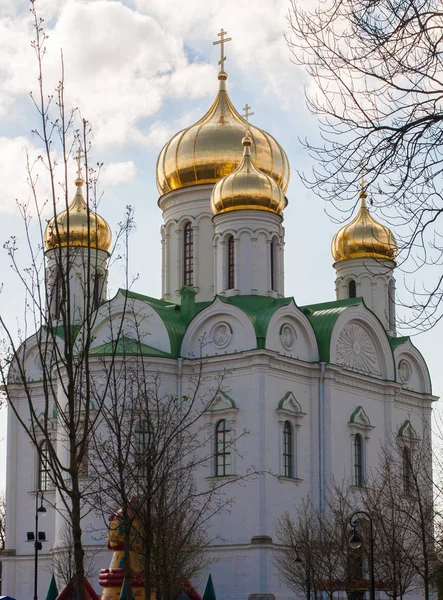 Saint-Petersburg beyaz bir katedral