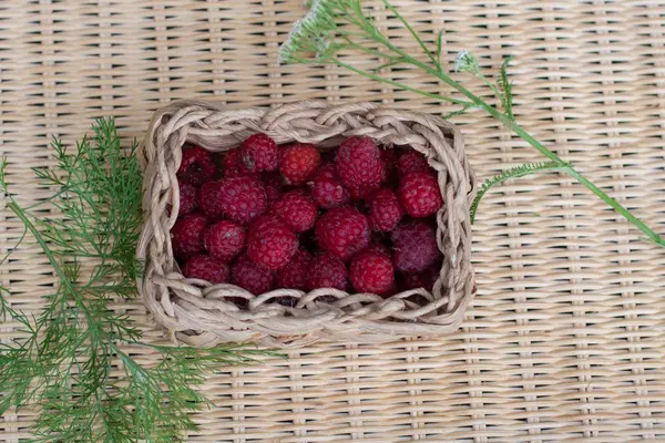 Ripe Raspberries Green Bowl — Stock Photo, Image