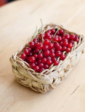 Bir koku kase taze kırmızı kuş üzümü