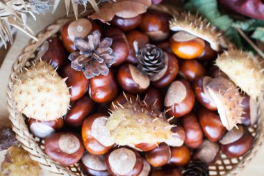 Bir dekorasyon veya arka plan sonbahar doğal malzemeden yapılmış