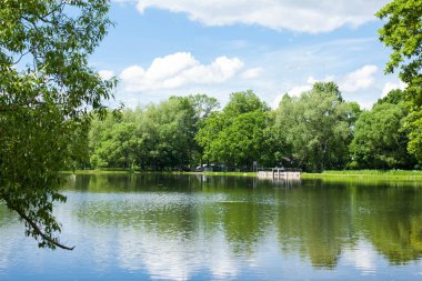 Saint-Petersburg, Peterhof banliyösünde parkta yaz manzara