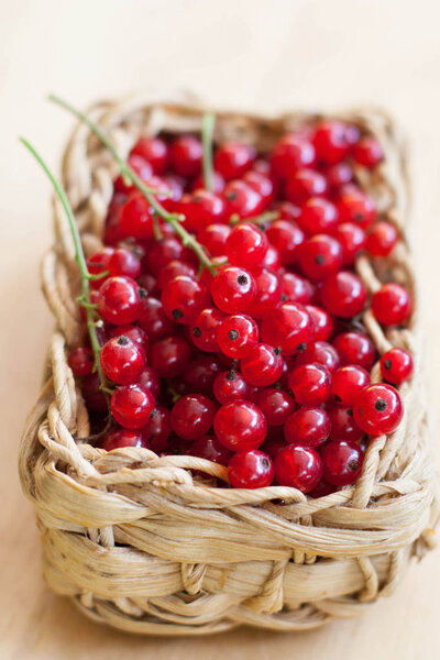 Fresh red currant in a smell bowl