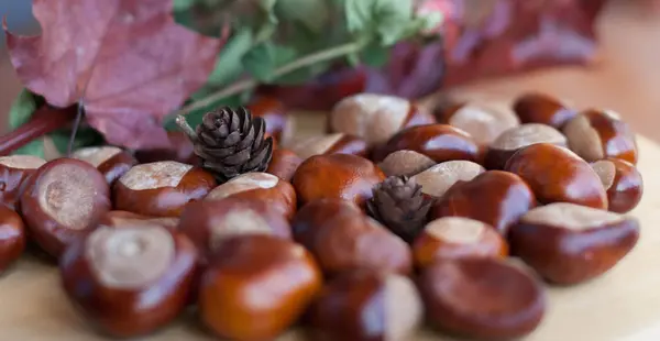 Autumn Composition Chestnuts — Stock Photo, Image