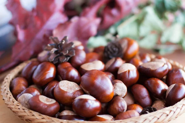 Autumn Composition Chestnuts — Stock Photo, Image