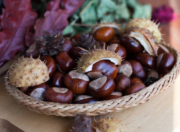 Een Decoratie Achtergrond Gemaakt Van Herfst Natuurlijke Materiaal — Stockfoto