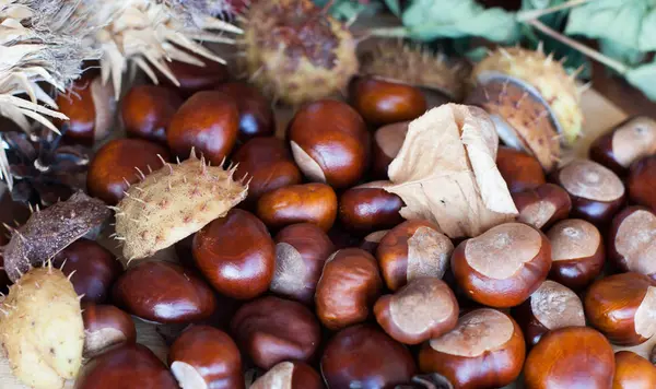 Een Decoratie Achtergrond Gemaakt Van Herfst Natuurlijke Materiaal — Stockfoto