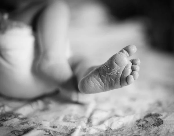 Gambe Piccole Del Neonato — Foto Stock