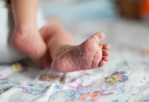 新生儿的小腿 — 图库照片