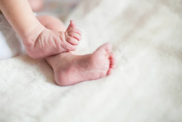 Piernas Pequeñas Del Bebé Recién Nacido — Foto de Stock