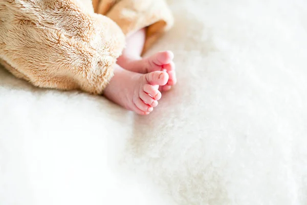 新生儿的脚趾在毯子上 — 图库照片